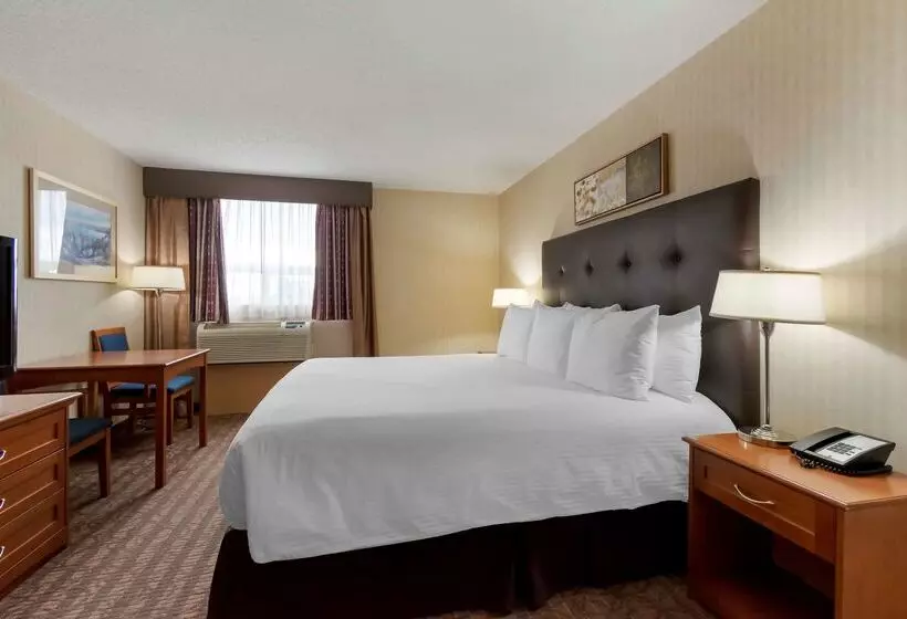 酒店 Best Western Cold Lake Inn