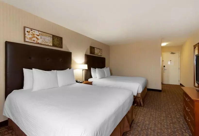 酒店 Best Western Cold Lake Inn