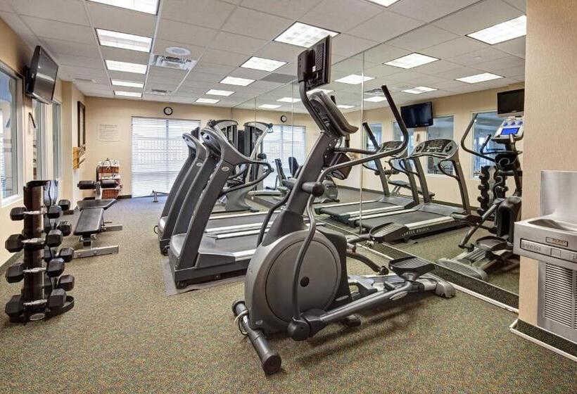 Hotel Fairfield Inn & Suites By Marriott Toronto Brampton