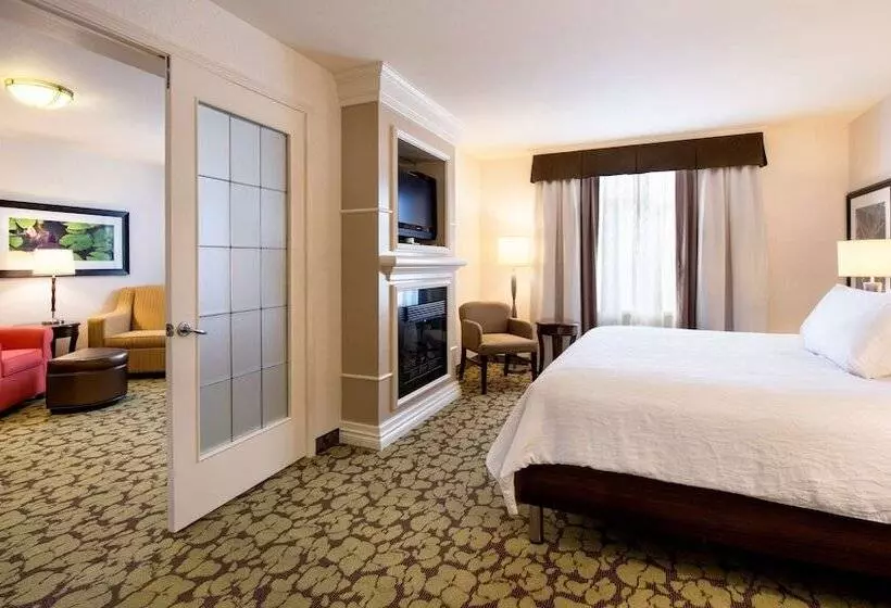 酒店 Hilton Garden Inn West Edmonton