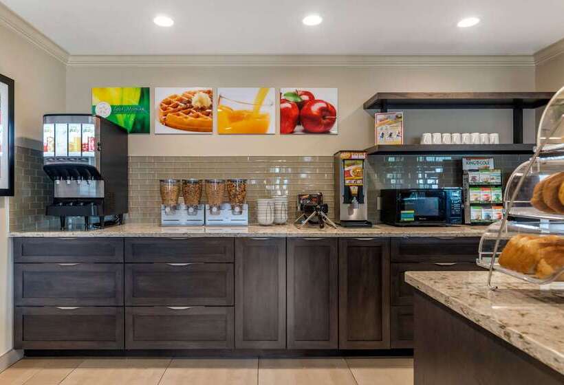 فندق Quality Inn & Suites Amsterdam