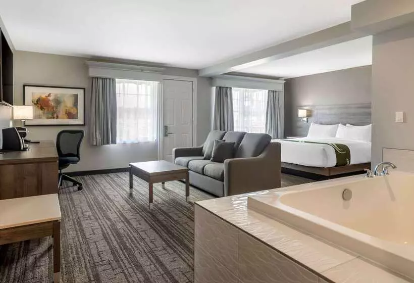 בית מלון כפרי Quality Inn & Suites Amsterdam