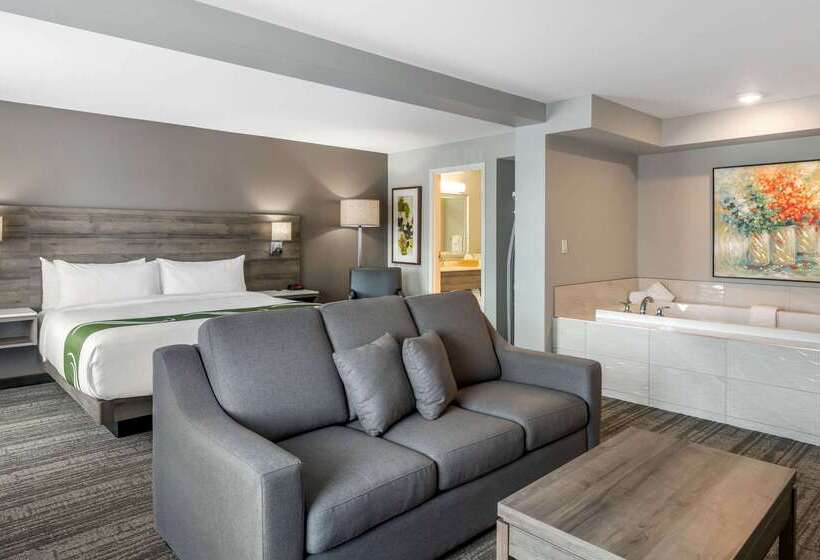 فندق Quality Inn & Suites Amsterdam