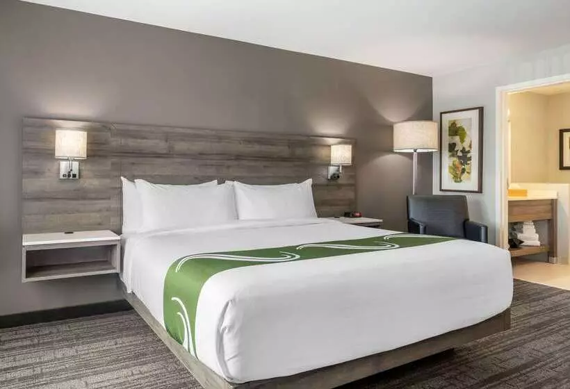 בית מלון כפרי Quality Inn & Suites Amsterdam