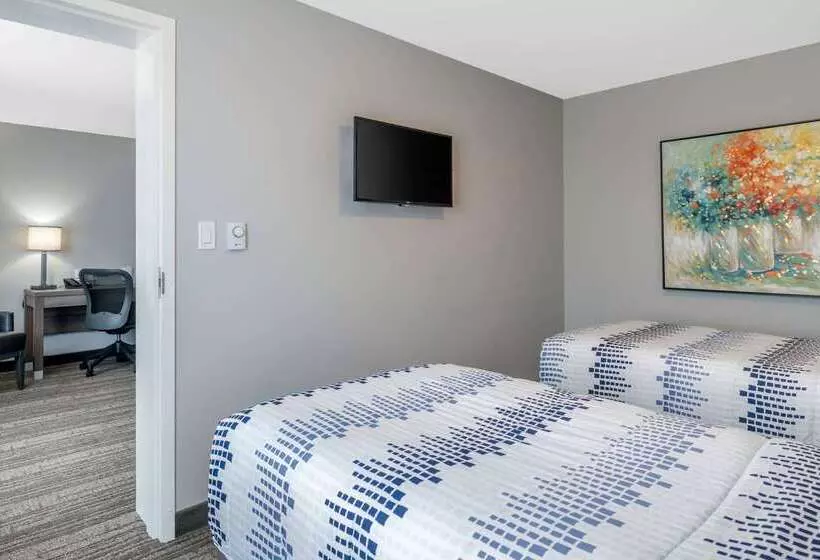 בית מלון כפרי Quality Inn & Suites Amsterdam