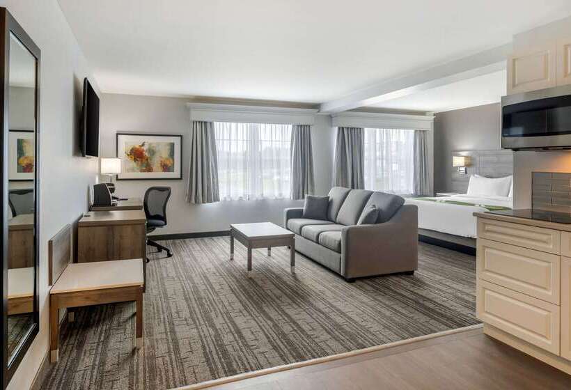 فندق Quality Inn & Suites Amsterdam