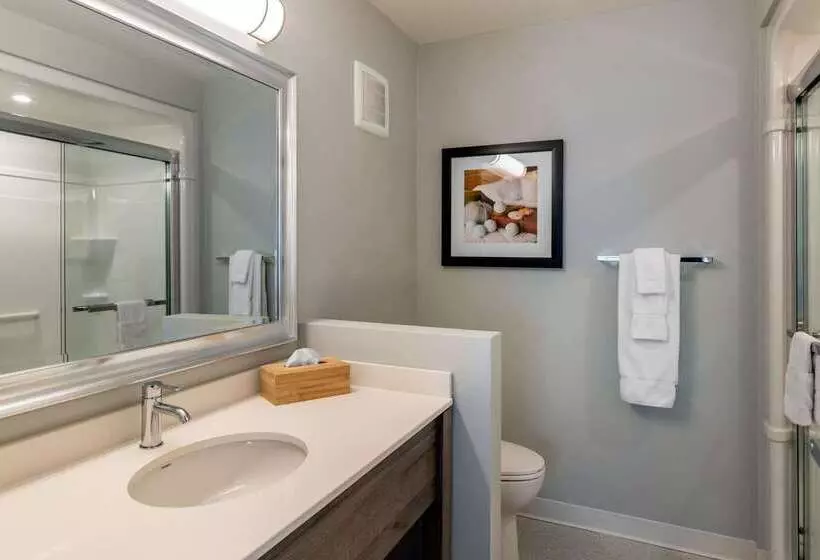 בית מלון כפרי Quality Inn & Suites Amsterdam