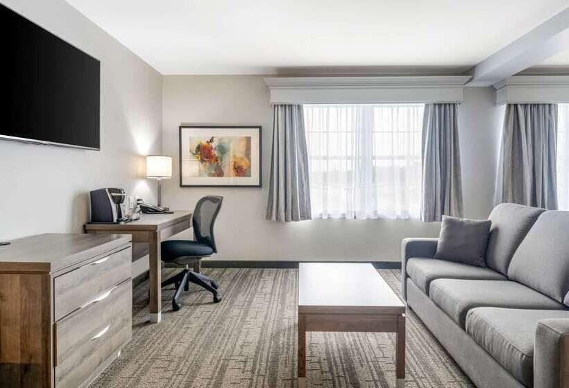 فندق Quality Inn & Suites Amsterdam