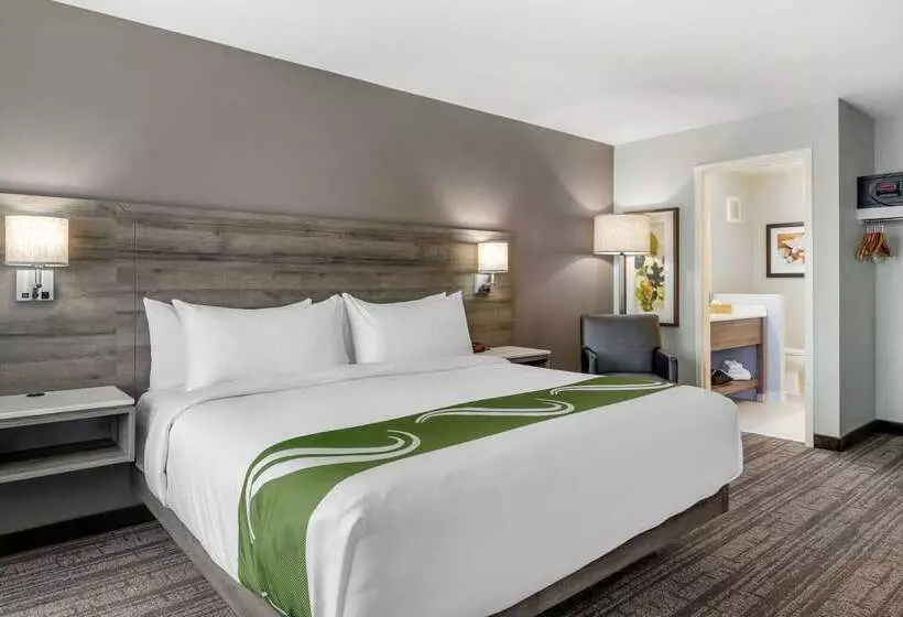 בית מלון כפרי Quality Inn & Suites Amsterdam