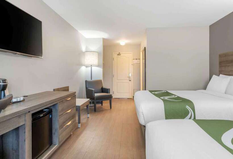 فندق Quality Inn & Suites Amsterdam