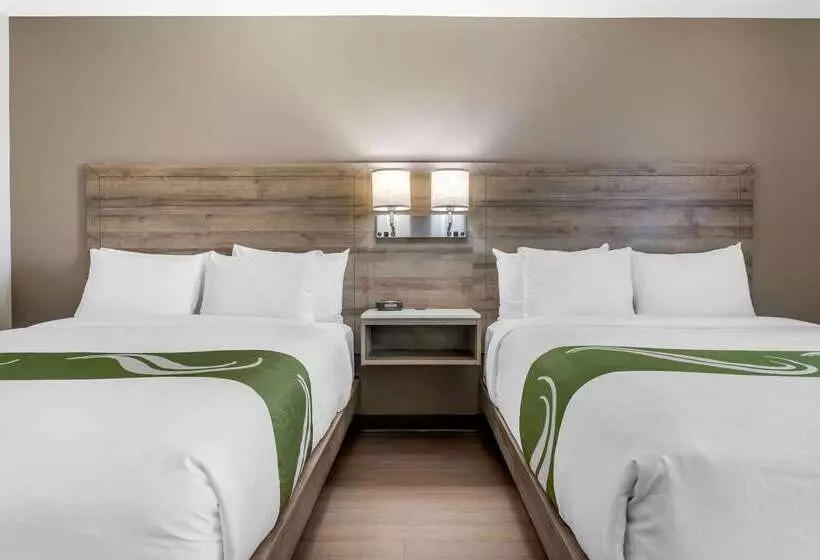 בית מלון כפרי Quality Inn & Suites Amsterdam