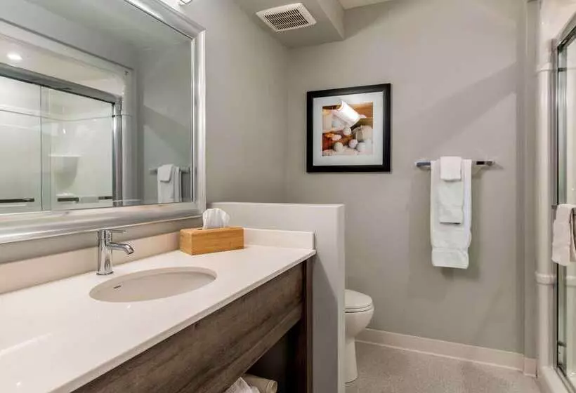 בית מלון כפרי Quality Inn & Suites Amsterdam