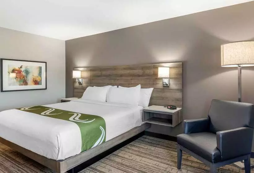 בית מלון כפרי Quality Inn & Suites Amsterdam