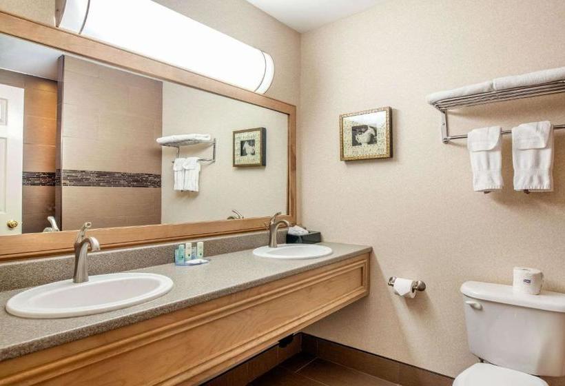 هتل Quality Inn & Suites