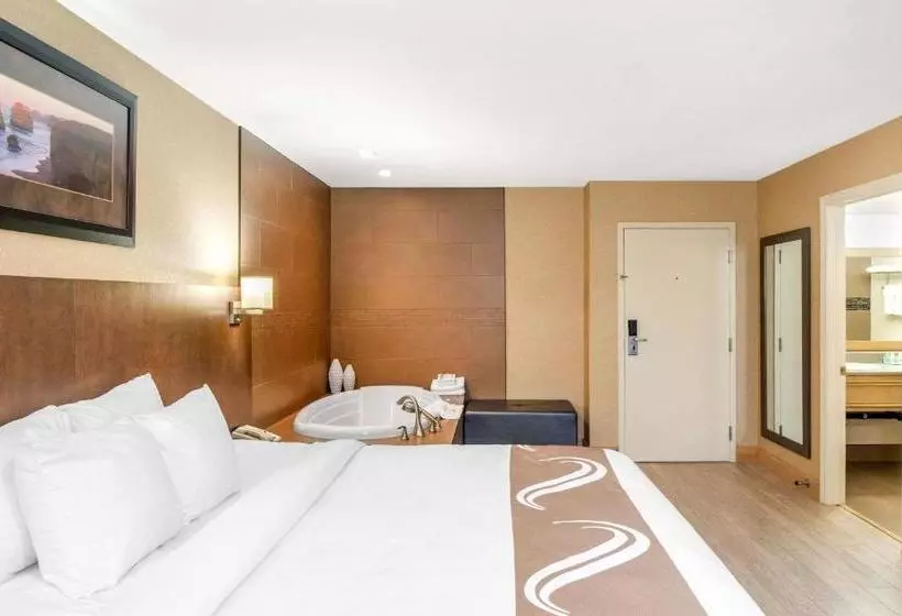 ホテル Quality Inn & Suites