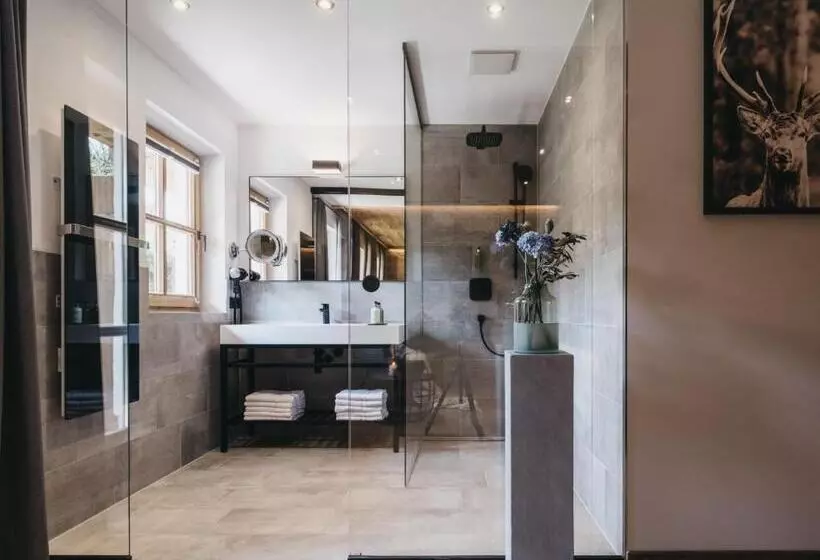 ホテル Vaya Achensee