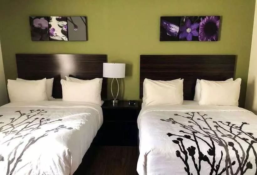 호텔 Sleep Inn & Suites Quebec City East