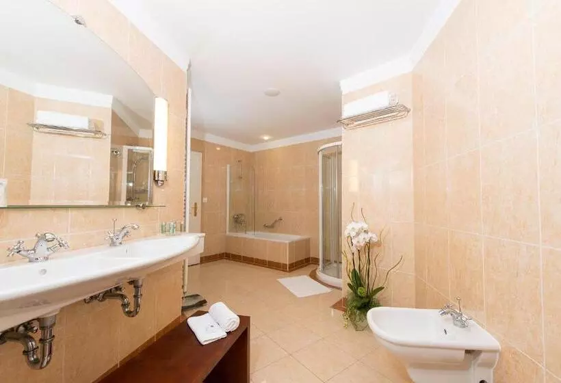 בית מלון כפרי Ensana Thermia Palace