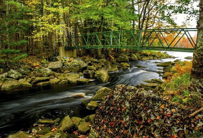 Отель Trout Point Lodge Of Nova Scotia
