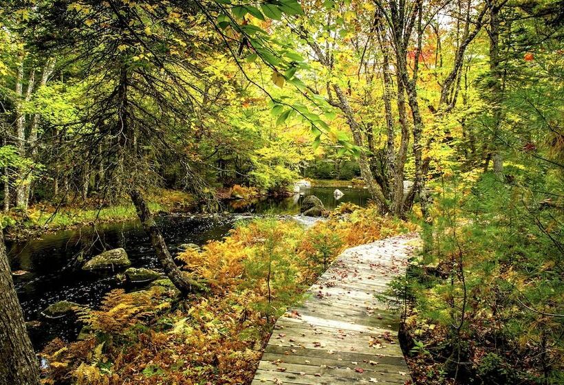 Отель Trout Point Lodge Of Nova Scotia
