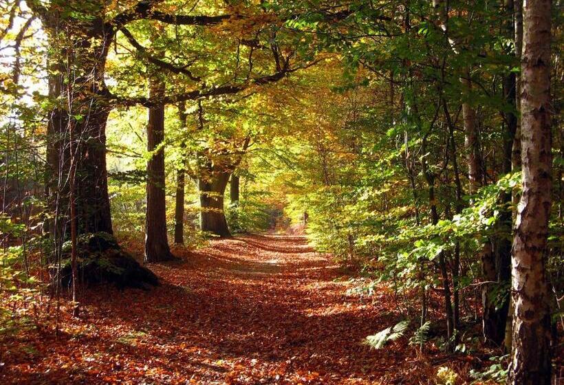 Ifa Graal Müritz Hotel & Spa