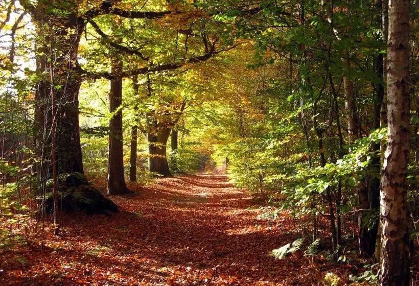 Ifa Graal Müritz Hotel & Spa