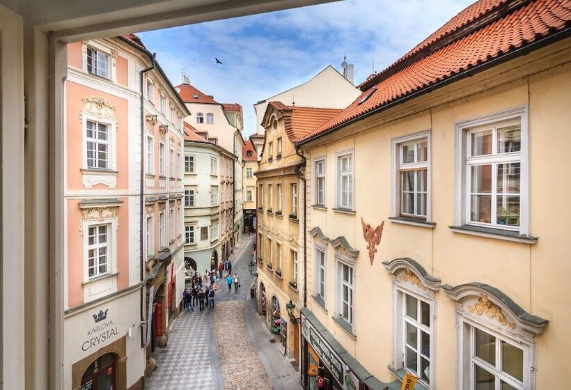 هتل The Dominican