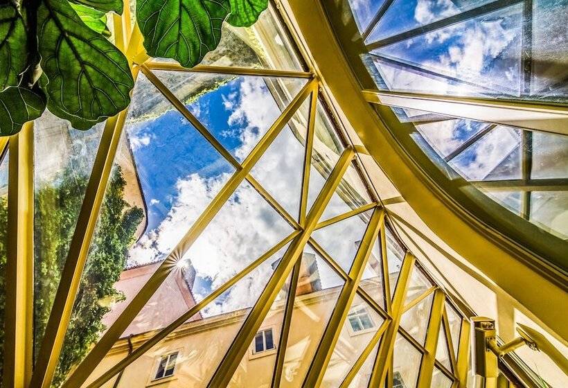 هتل The Dominican