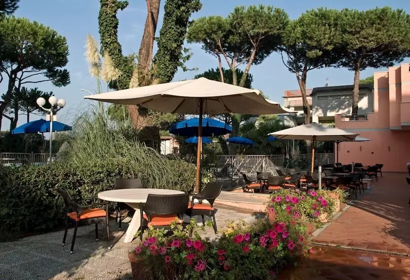 Отель Versilia Palace