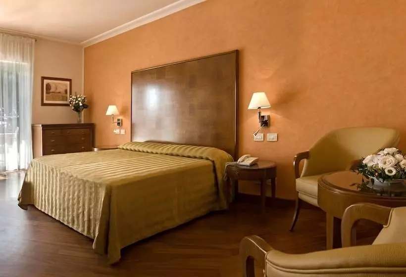 Отель Versilia Palace