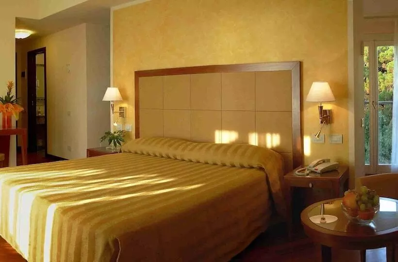 Отель Versilia Palace