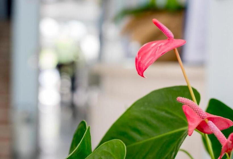 בית מלון כפרי Villa Mare