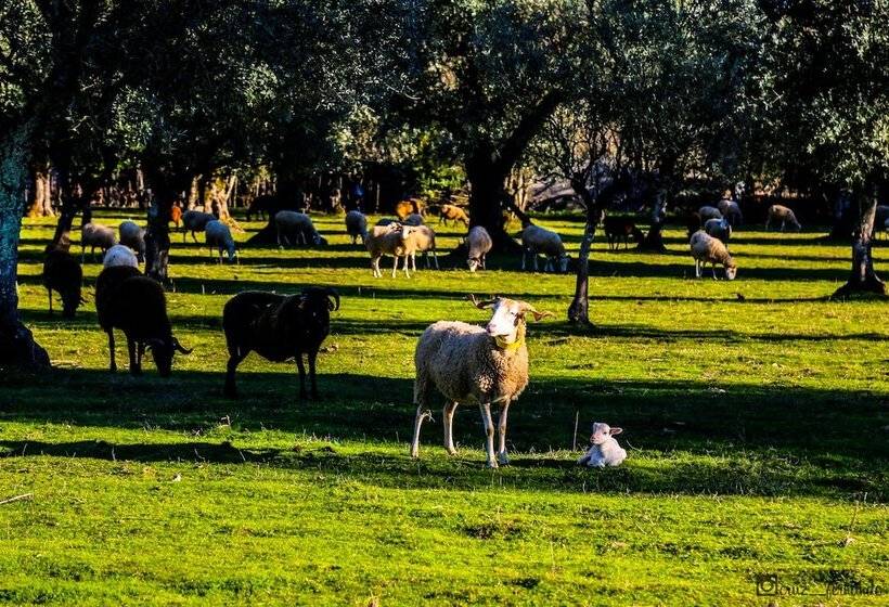 Pantanha Nature & Fitness