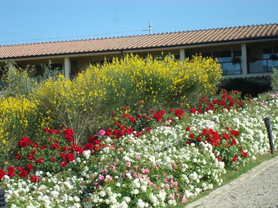 Relax Hotel Aquaviva