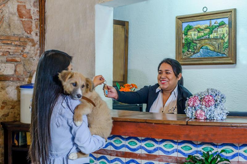 Casa Del Parque By Ahs