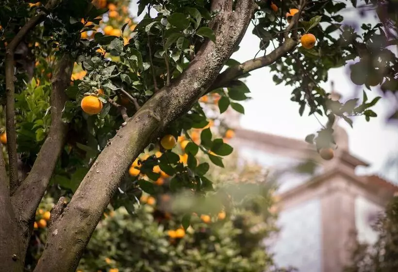 Inn Quinta São Miguel De Arcos