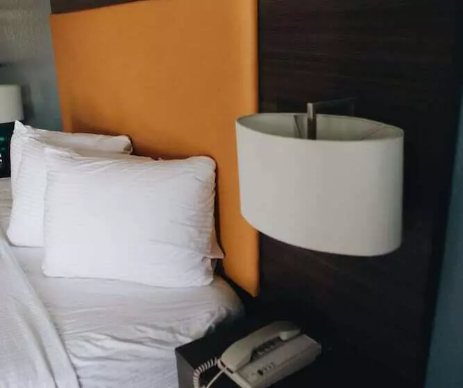 酒店 All Seasons Inn & Suites