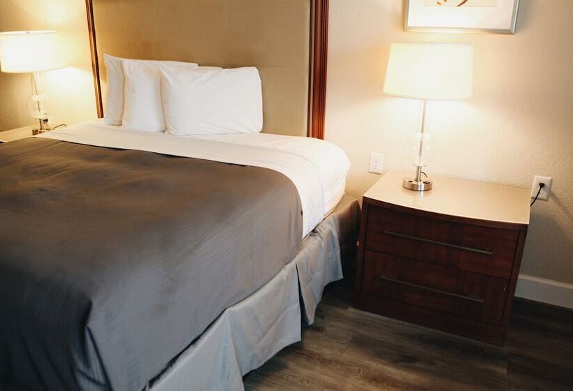 Отель All Seasons Inn & Suites