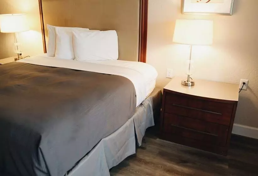 酒店 All Seasons Inn & Suites