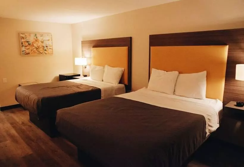 酒店 All Seasons Inn & Suites