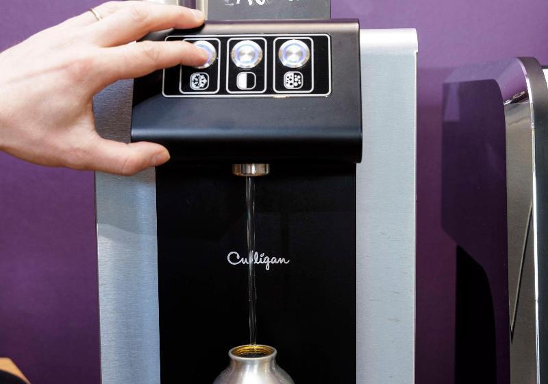 Best Western Plus Executive Hotel And Suites