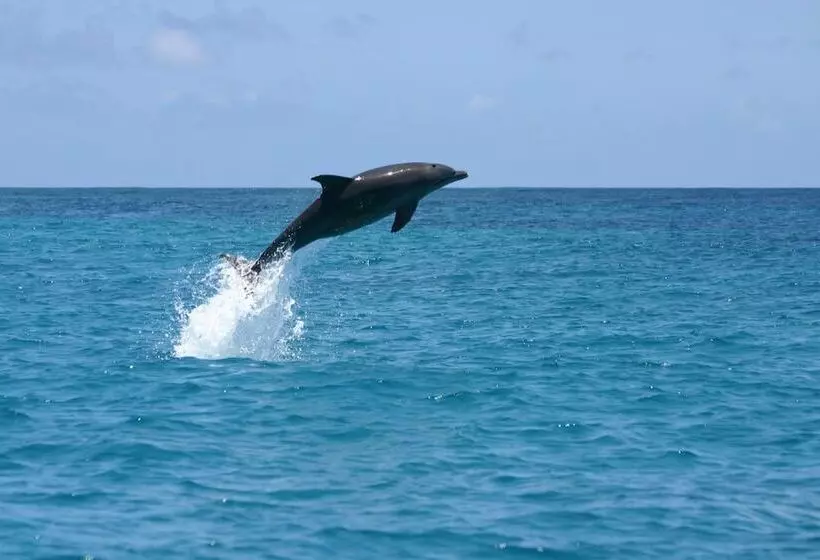 Отель Karamba Eco Boutique