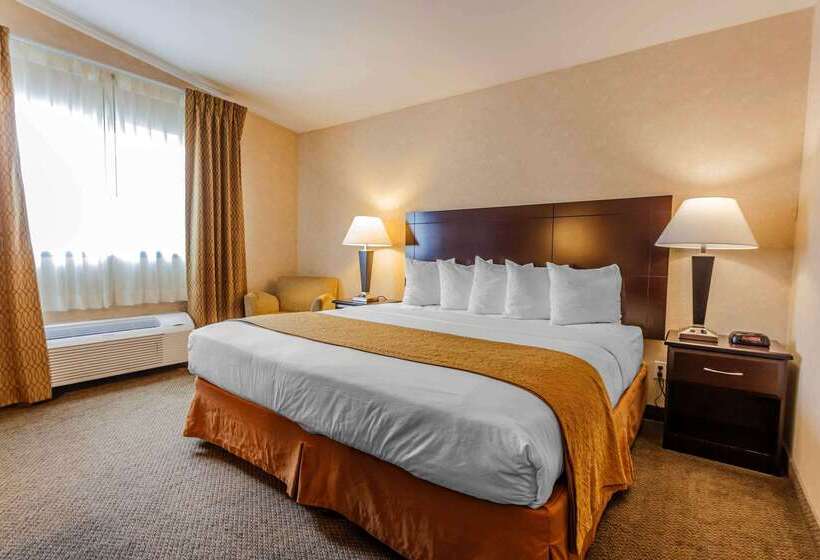 فندق Quality Inn Near Seattle Premium Outlets