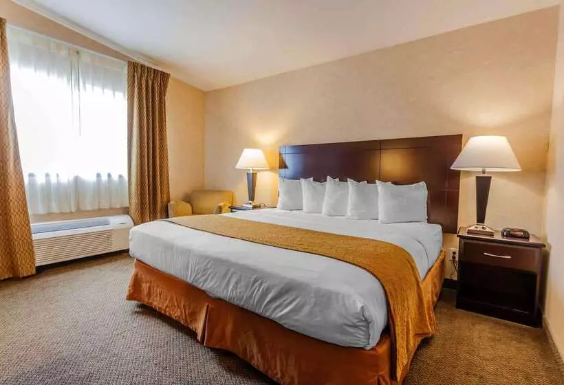 Отель Quality Inn Near Seattle Premium Outlets