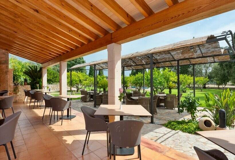 Сельский отель Finca Son Roig by Valentin