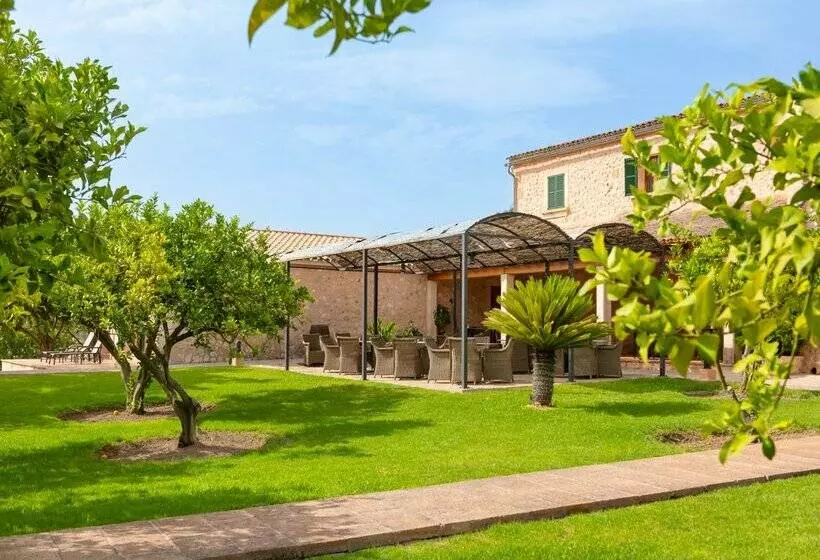 فندق ريفى Finca Son Roig by Valentin