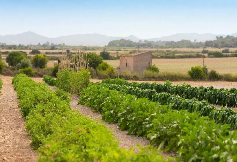 فندق ريفى Finca Son Roig by Valentin