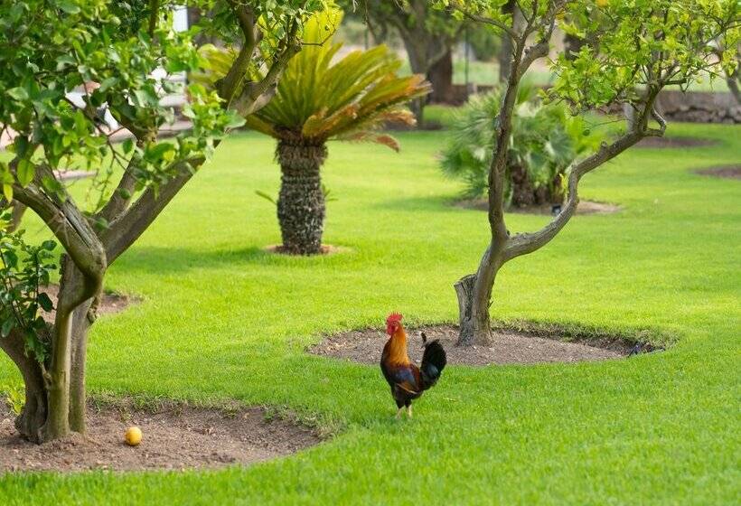 Сельский отель Finca Son Roig by Valentin