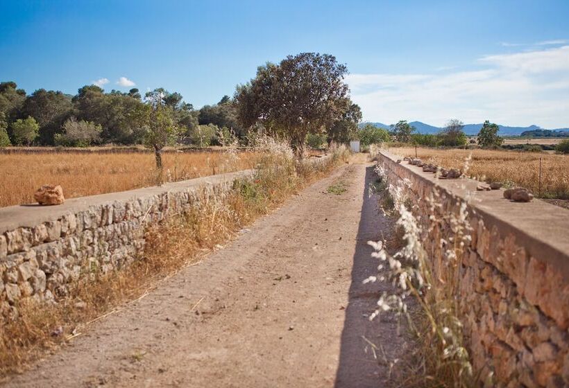 Сельский отель Finca Son Roig by Valentin