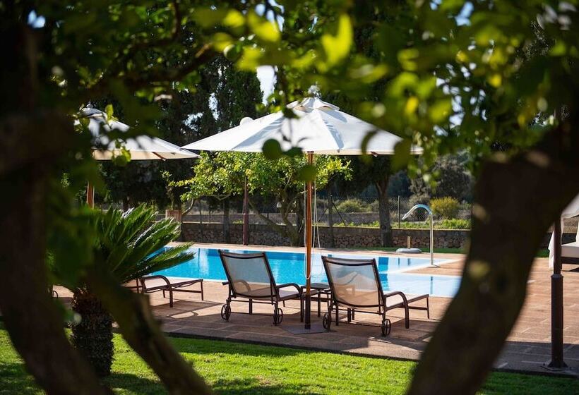 Сельский отель Finca Son Roig by Valentin